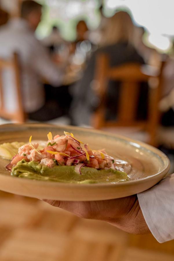 Spring Creek Lodge Junín de los Andes Εξωτερικό φωτογραφία